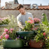Si ves este insecto en las plantas no lo ahuyentes: así podés ahorrarte mucho dinero en pesticida