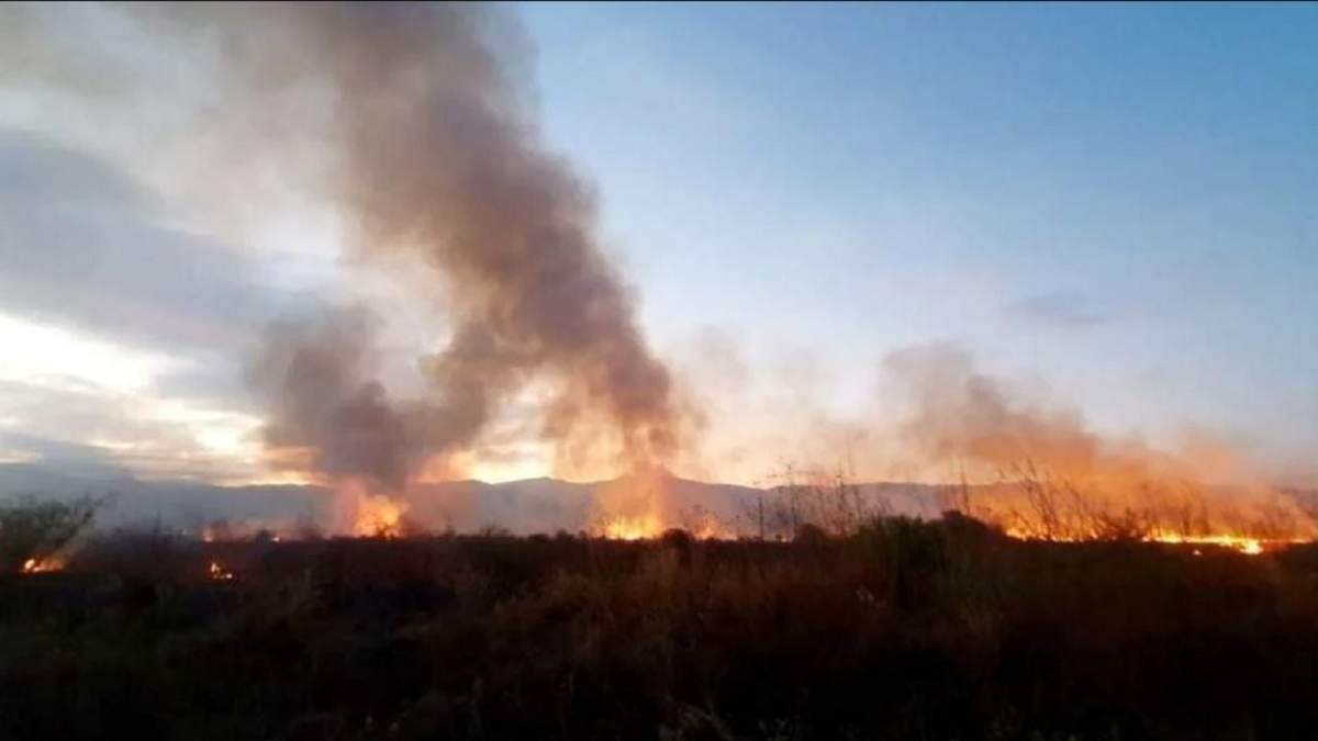 Incendio en Salta. Fuente: (Twitter)