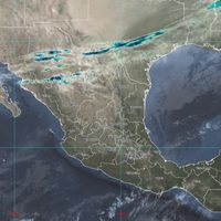 Por frente frío #27 habrá "Norte" con rachas de viento de hasta 80 km/h en Tamaulipas y Veracruz