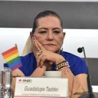 Guadalupe Taddei pide a la “marea rosa” que no use el color rosa del INE