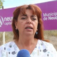 Paseo de la Costa: se llevará a cabo otra adopción de perros y gatos