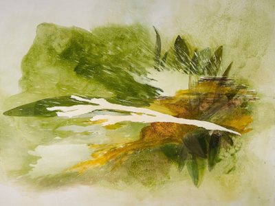 "La promesa de la imagen": Isabel Leñero en Xalapa