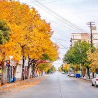 General Roca, una de las ciudades con más fallecidos en Río Negro
