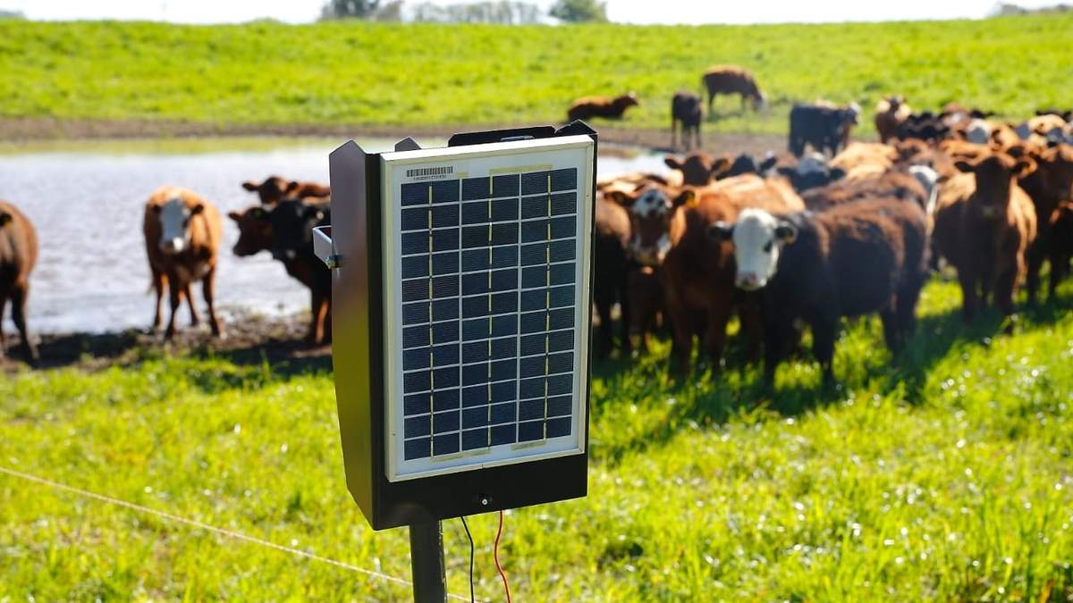 El boyero solar del PERMER emplazado en una zona rural. Fuente: (Twitter)