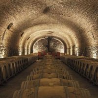 Bodegas de alta gama solicitan ayuda ante la crisis del sector