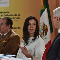 Reforma eléctrica representa una expropiación indirecta: AmCham