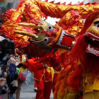 Corazón alerta: cómo le irá en el amor a cada signo del horóscopo chino