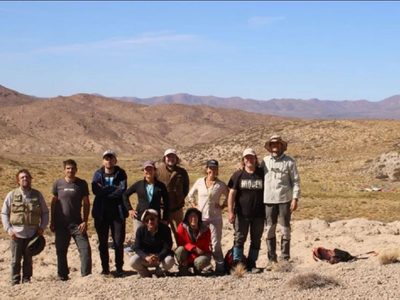 Hallaron restos fósiles de monos que habitaron en la región del Limay hace 15 millones de años