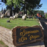 Las Ovejas: hacía un asado y lo apuñalaron en la pierna