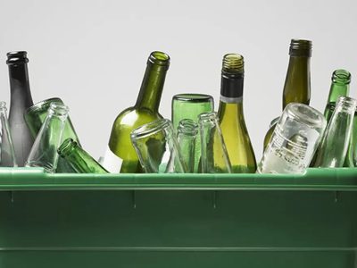 Nunca más tires las botellas de cervezas: mirá esta maravillosa idea para tus plantas