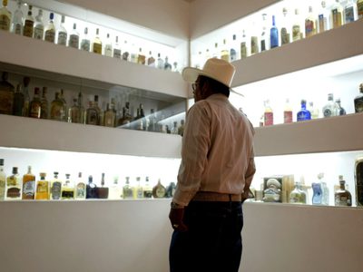 Investigadores de la UNAM desarrollan técnicas para garantizar la autenticidad del tequila