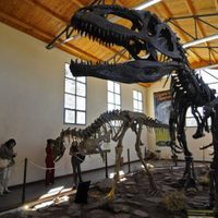 Dinosaurios: harán un parque y un museo con restos fósiles encontrados en Neuquén Capital