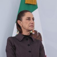 Fábrica de moscas contra el gusano barrenador se terminará en dos meses: Sheinbaum