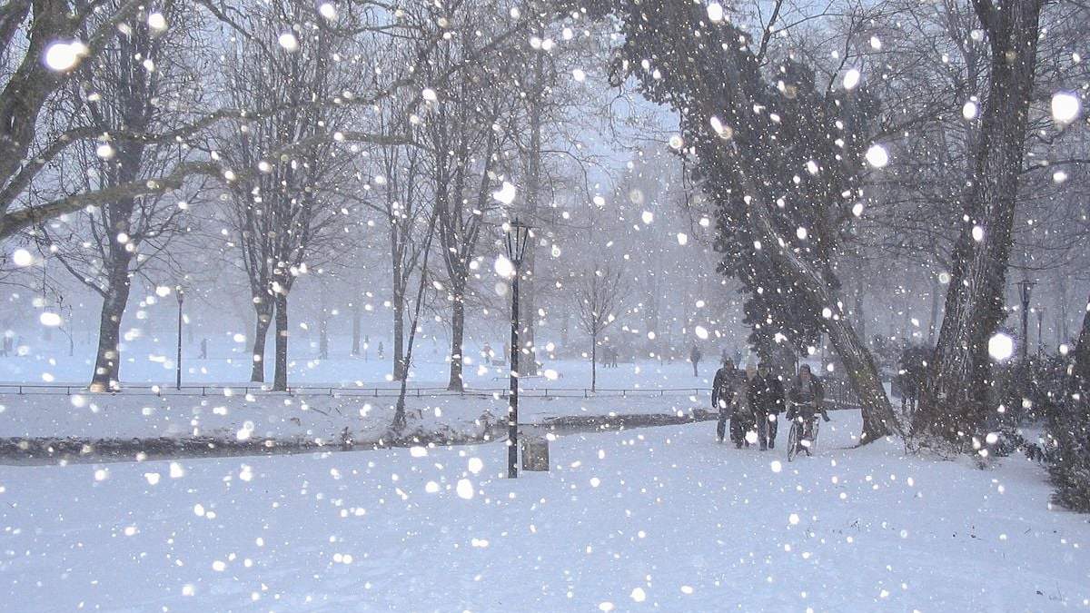 Lluvias, nieve y vientos en Neuquén. Fuente: (Twitter)