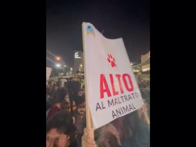Colectivos y activistas cierran calles de Puebla en demanda de acciones contra el maltrato animal