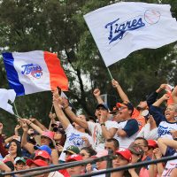 Aumentan ingresos de LMB en 371%; pago de derechos de televisión aporta 35%