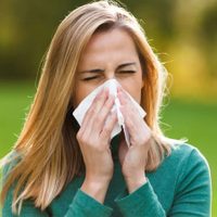 Los remedios están carísimos: mirá cómo preparar en casa el mejor té para curar la alergia en invierno