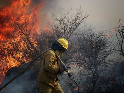 Cómo está la situación de los incendios forestales en Río Negro, Corrientes y Misiones