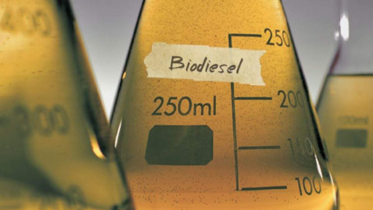 Biodiésel. Fuente: (Twitter)