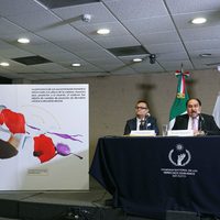 Perros y roedores desollaron el rostro de normalista de Ayotzinapa: CNDH (Video)