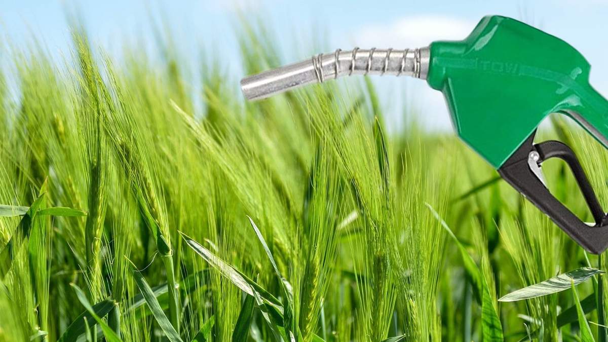 Biocombustibles. Fuente: (Minuto Neuquén)