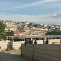 Aseguran supuesto centro de adiestramiento canino con más de dos toneladas de mariguana