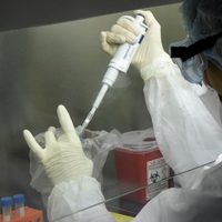 Un fármaco rionegrino busca apoyo para ser testado: podría ayudar a pacientes con coronavirus