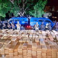 Decomisan más de cinco toneladas de mariguana en Tamaulipas