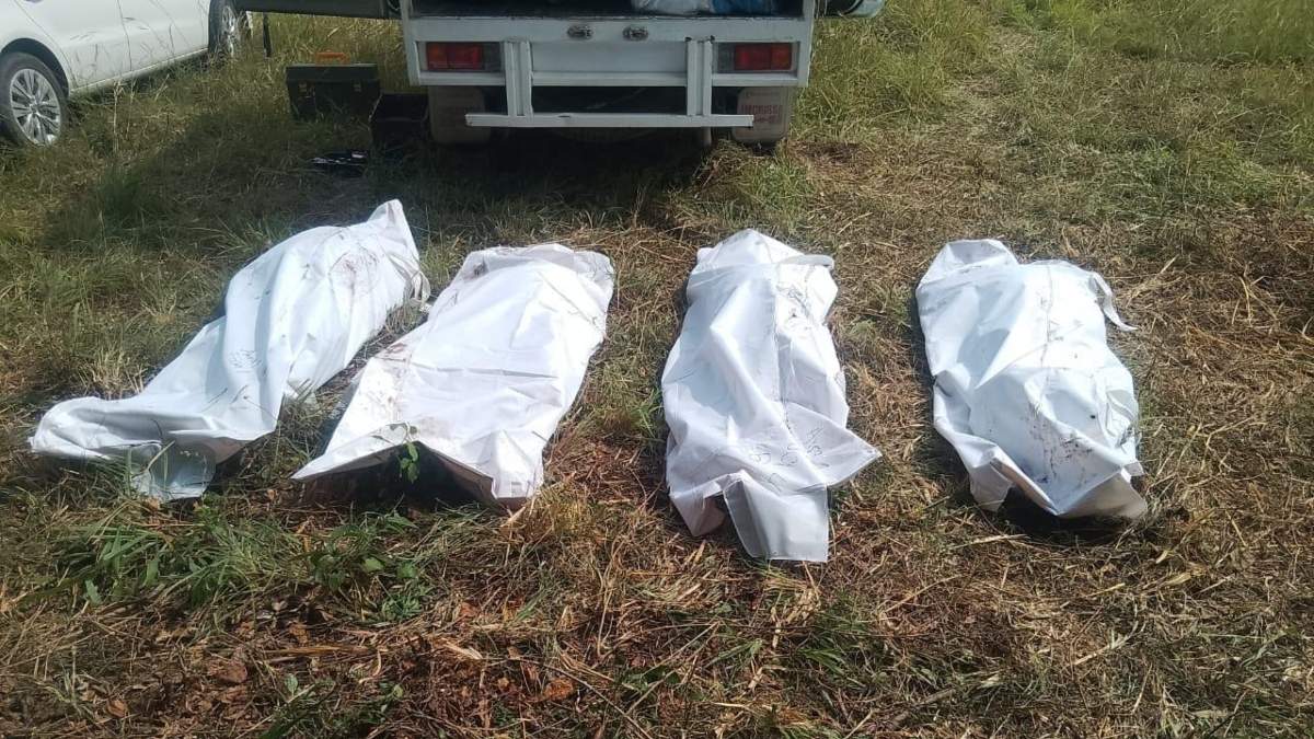 Este lunes se localizaron otros 14 cadáveres