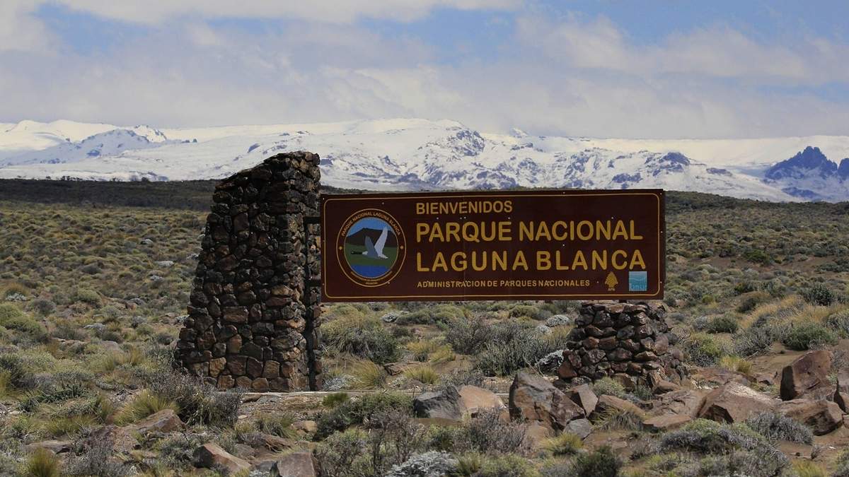 El Parque Nacional Laguna Blanca se encuentra ubicado a 32 km de Zapala, sobre Ruta Provincial N° 46. Fuente: (Twitter).