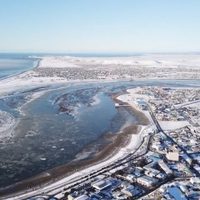 Dónde comer centolla en Tierra del Fuego: 4 experiencias gastronómicas únicas en el fin del mundo