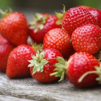 Descubrí cómo cultivar frutillas con altura