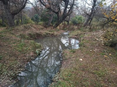 Alerta por contaminación del arroyo Piedritas y laguna Calafate