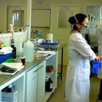 "Diagnóstico de coronavirus": ¡Llegan a Neuquén los reactivos para hacer los tests!