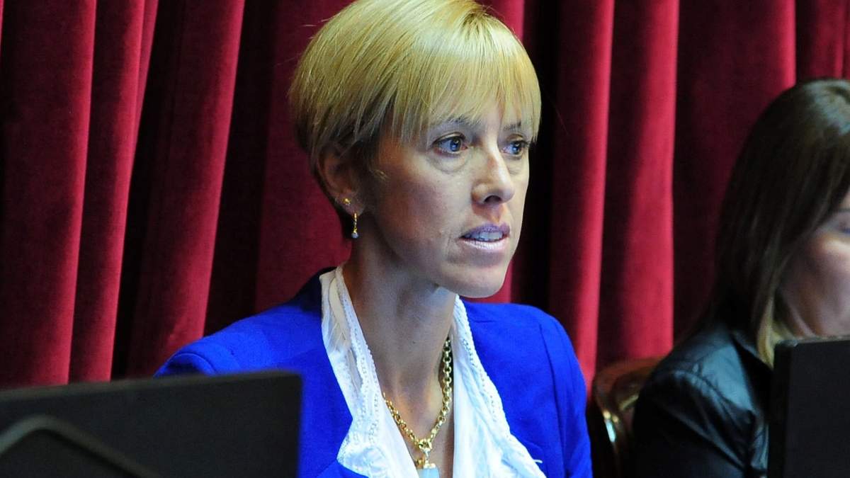 Senadora Silvina García Larraburu. Fuente: (Twitter)