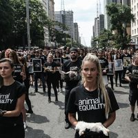 El mundo en imágenes