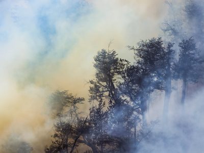 Autoridades aclararon que no hay viviendas afectadas ni evacuados por el incendio en Valle Magdalena