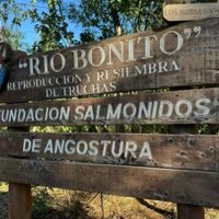 ATE denunció usurpación del predio de la Fundación Salmónidos en Villa la Angostura