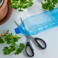 Con solo 1 botella plástica: creá esta lámpara nube, súper mágica para tener en tu pieza y darle estilo