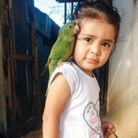 El caso de la niña Sofía y el desinterés de las autoridades por la desaparición de migrantes