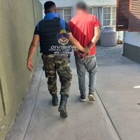 La Policía realizó dos allanamientos en donde encontraron 43 plantas de marihuana