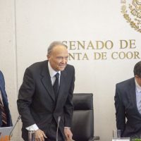 Gertz y Bátiz, entre los 10 finalistas elegidos en el Senado para la Fiscalía General