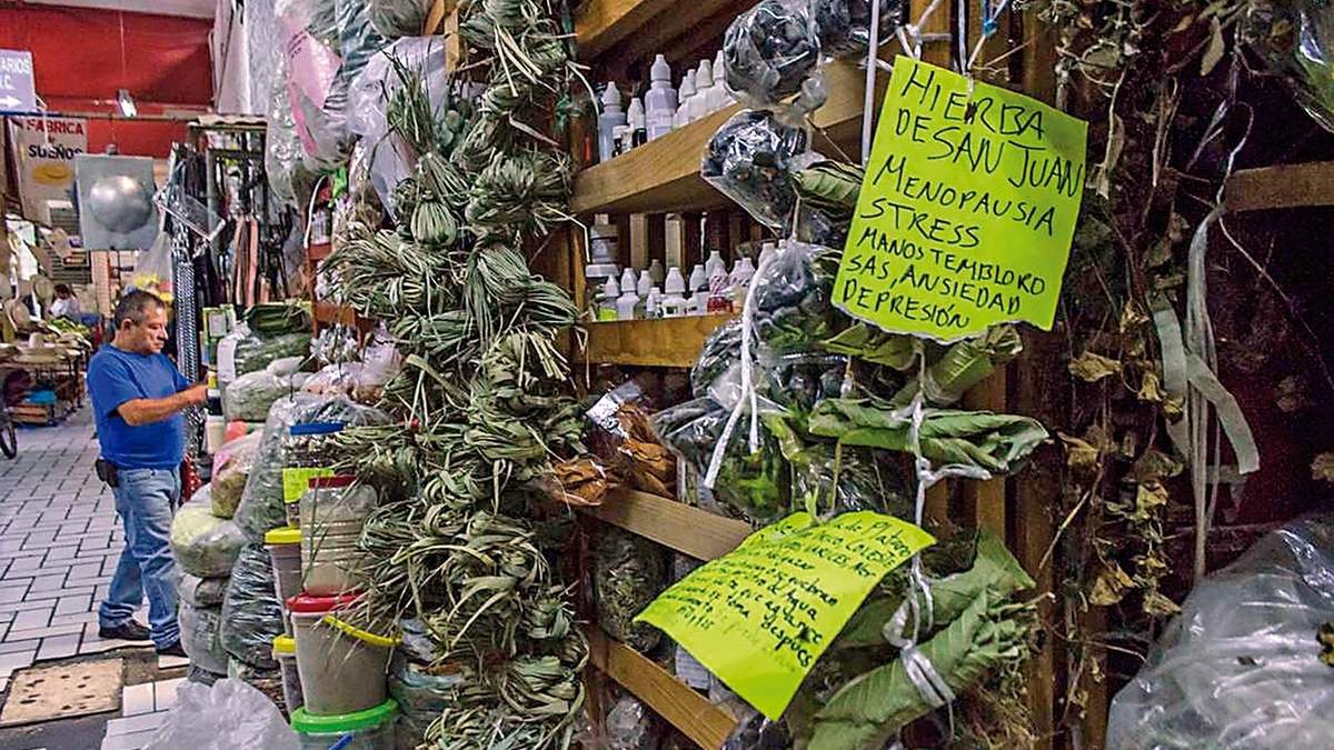 Hierbas usadas en la medicina tradicional