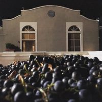 Una bodega mendocina exportó un container con sus vinos a Australia