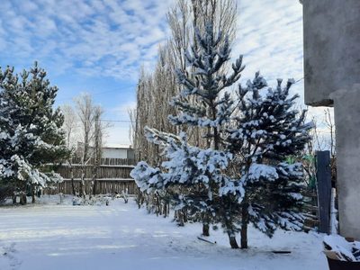 El Servicio Meteorológico Nacional activó una nueva alerta por frío extremo en una provincia argentina