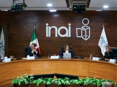 Diversas ONG alertan sobre los riesgos que implica la desaparición del INAI