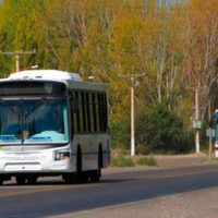 Aumento confirmado: viajar en colectivo en Centenario costará más de 2 mil pesos