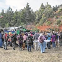 La Cámara Federal intimó al juez de Bariloche a frenar la entrega de tierras a mapuches