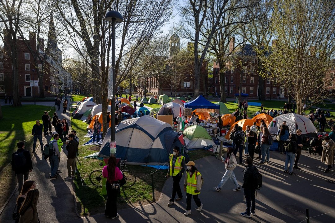 Protesta Univresidad de Harvard Foto Ben Curtis  AP