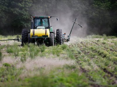 Alarma en Estados Unidos: hallan glifosato en el 80% de las muestras de orina